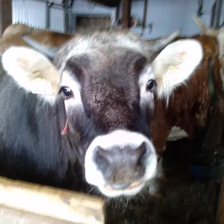 Hinterleiten ヴァークライン