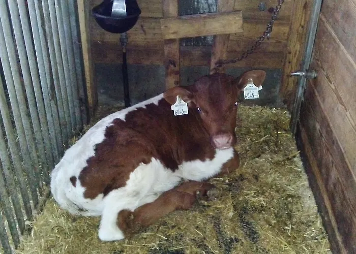 Apartman Hinterleiten Wagrain