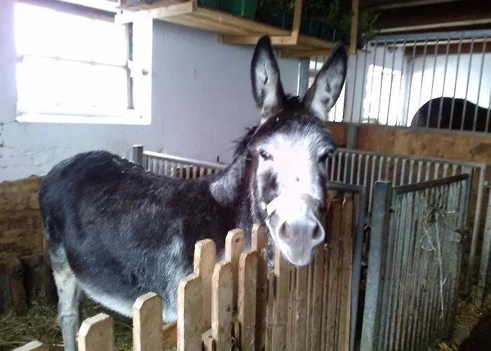 Hinterleiten Apartman