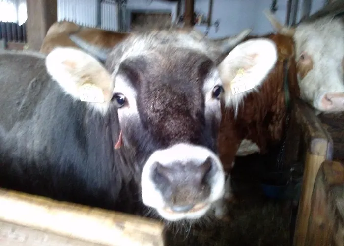 Hinterleiten Wagrain